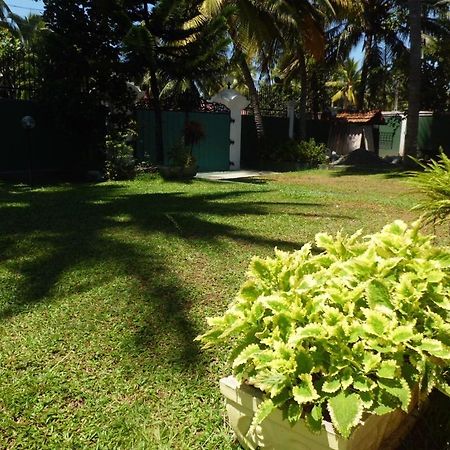 Villa W بينتوتا المظهر الخارجي الصورة