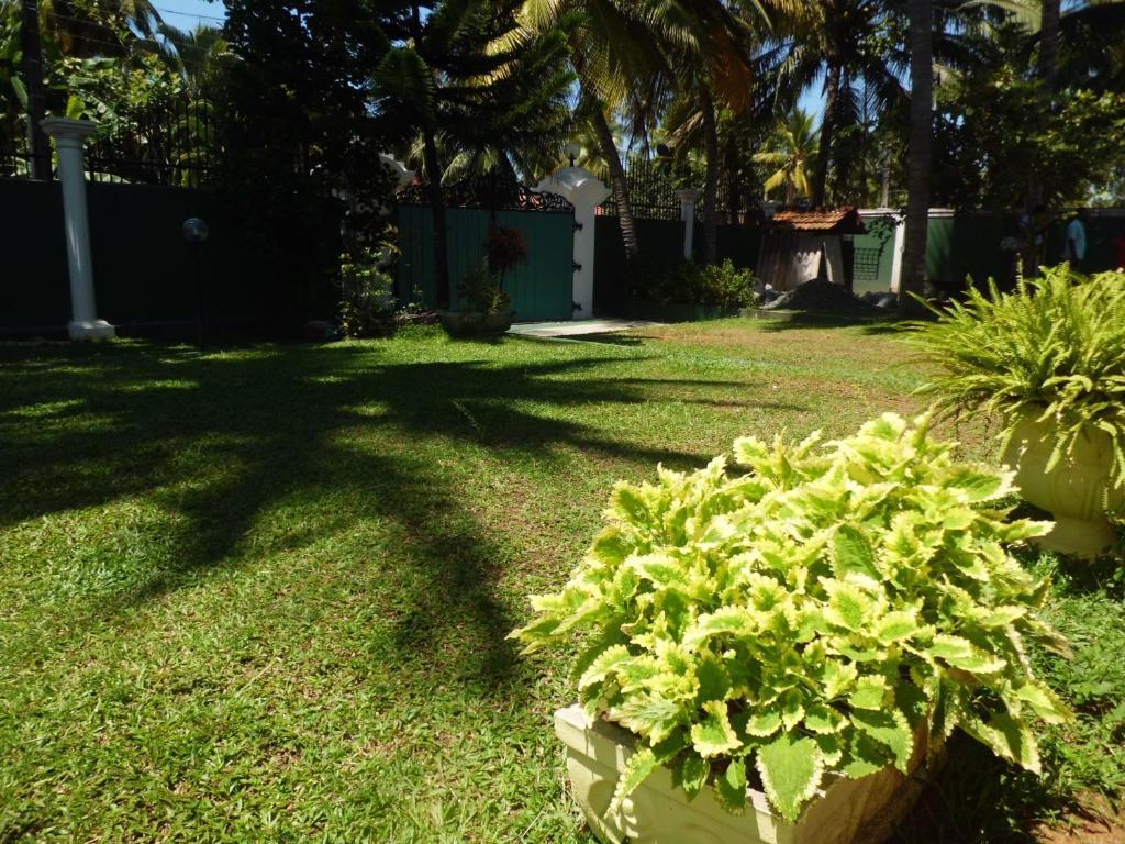 Villa W بينتوتا المظهر الخارجي الصورة